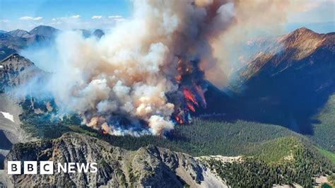 togel canada4d|Canada's 2023 wildfires emitted more carbon than most countries .